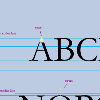 Typography Porject on Illustrator